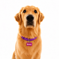 Personalized Pet Name Tag